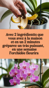 Avec 2 ingrédients que vous avez déjà à la maison et en 2 minutes préparez un engrais très puissant, en une semaine l'orchidée fleurira