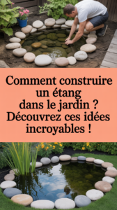 Comment construire un étang dans le jardin ? Découvrez ces idées incroyables !