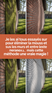 Je les ai tous essayés pour éliminer la mousse sur les murs et entre les carreaux : mais cette méthode est une vraie magie !
