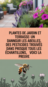 Plantes de jardin et terrasse : un danger pour les abeilles, des pesticides trouvés dans presque tous les échantillons, voici la preuve