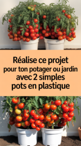 Réalise ce projet pour ton potager ou jardin avec 2 simples pots en plastique