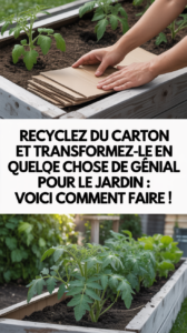 Recyclez du carton et transformez-le en quelque chose de génial pour le jardin : voici comment faire !