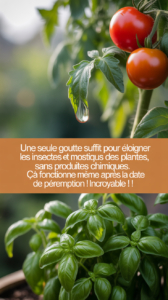 Une seule goutte suffit pour éloigner les insectes et moustiques des plantes, SANS produits chimiques. Ça fonctionne même après la date de péremption ! Incroyable !