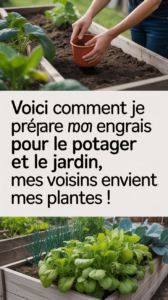 Voici comment je prépare mon engrais pour le potager et le jardin, mes voisins envient mes plantes !
