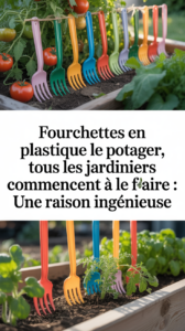 Fourchettes en plastique dans le potager, tous les jardiniers commencent à le faire : une raison ingénieuse
