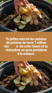 Tu jettes encore les pelures de pomme de terre 🥔 ? Utilise-les de cette façon et tu résoudras un gros problème à la maison.