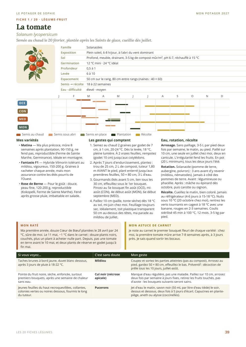 La fiche tomate
